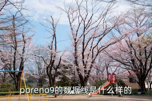 DL109是oppo原裝數(shù)據(jù)線嗎,OPPO原裝數(shù)據(jù)線