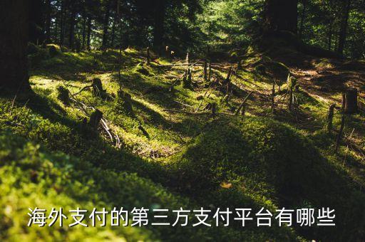 支持平臺,哪些購物平臺支持貨到付款?