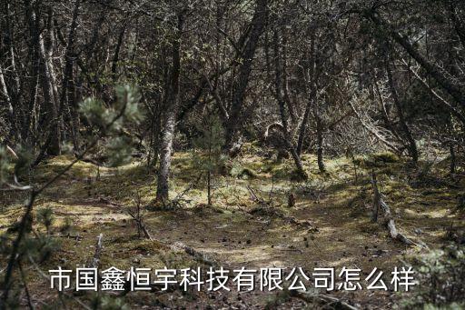 國鑫自動化科技有限公司,山東國鑫環(huán)?？萍加邢薰? /></a><a href=