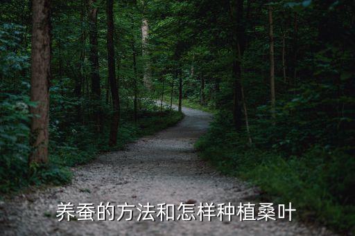 養(yǎng)蠶的方法和怎樣種植桑葉