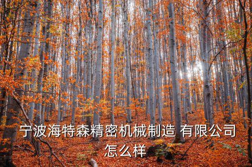 寧波成功非標(biāo)自動化設(shè)備有限公司,寧波辰銘密封件制造有限公司