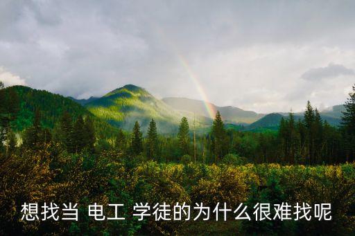 新能源自動(dòng)化設(shè)備電工學(xué)徒,自動(dòng)化裝配電工學(xué)徒一般學(xué)多久
