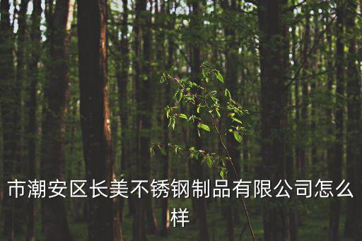 市潮安區(qū)長美不銹鋼制品有限公司怎么樣