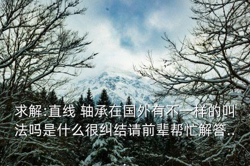 求解:直線 軸承在國外有不一樣的叫法嗎是什么很糾結(jié)請(qǐng)前輩幫忙解答...