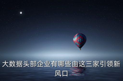大數(shù)據(jù)頭部企業(yè)有哪些由這三家引領(lǐng)新風(fēng)口