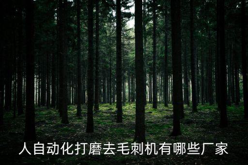 人自動(dòng)化打磨去毛刺機(jī)有哪些廠家
