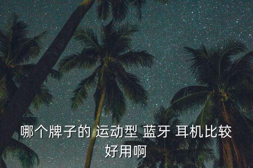 哪個(gè)牌子的 運(yùn)動(dòng)型 藍(lán)牙 耳機(jī)比較好用啊
