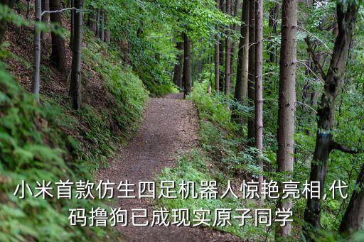 小米首款仿生四足機器人驚艷亮相,代碼擼狗已成現(xiàn)實原子同學(xué)