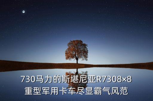 730馬力的斯堪尼亞R7308×8重型軍用卡車盡顯霸氣風(fēng)范