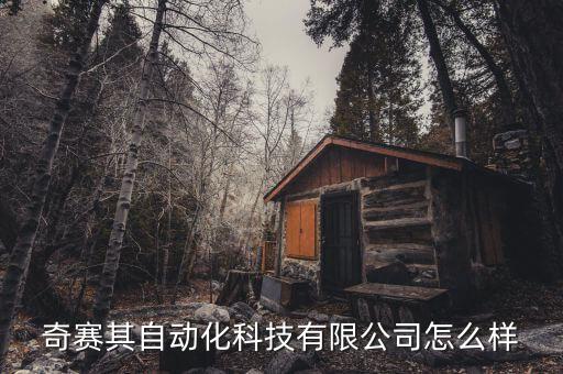 奇賽其自動(dòng)化科技有限公司怎么樣