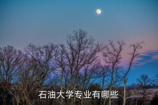 石油大學(xué)專業(yè)有哪些