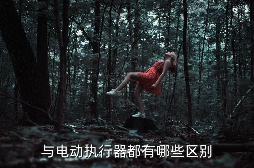 與電動(dòng)執(zhí)行器都有哪些區(qū)別