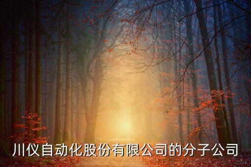 川儀自動(dòng)化股份有限公司的分子公司