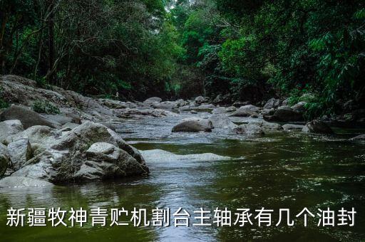新疆牧神青貯機(jī)割臺(tái)主軸承有幾個(gè)油封