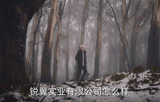 銳翼實(shí)業(yè)有限公司怎么樣