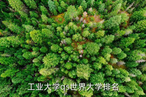 電氣工程及其自動化qs排名,電子電氣工程qs排名