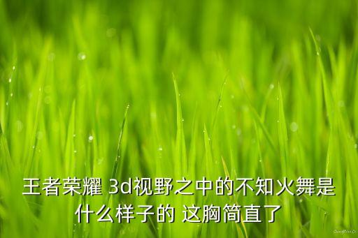 王者榮耀 3d視野之中的不知火舞是什么樣子的 這胸簡直了