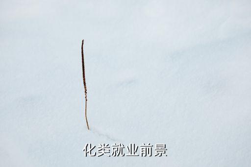 化類就業(yè)前景