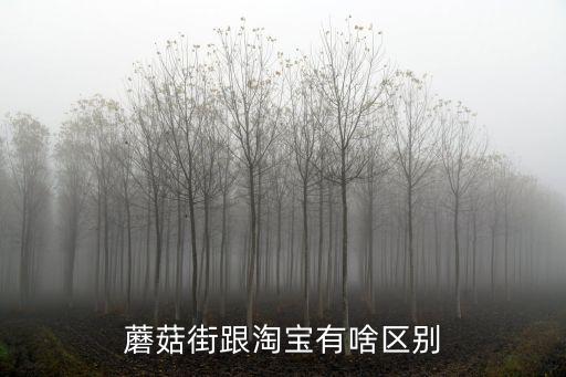 蘑菇街跟淘寶有啥區(qū)別