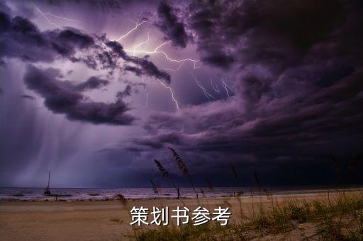 策劃書(shū)參考
