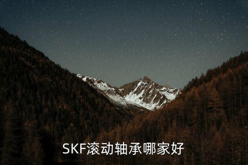 SKF滾動(dòng)軸承哪家好