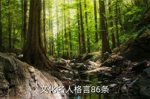 文化名人格言86條