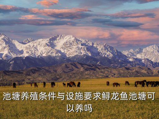 鱘魚自動化養(yǎng)殖設(shè)備,鱘魚怎么養(yǎng)殖?