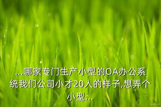 ...哪家專門生產(chǎn)小型的OA辦公系統(tǒng)我們公司小才20人的樣子,想弄個小型...