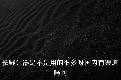 長野計器，長野計器是不是用的很多呀國內(nèi)有渠道嗎啊