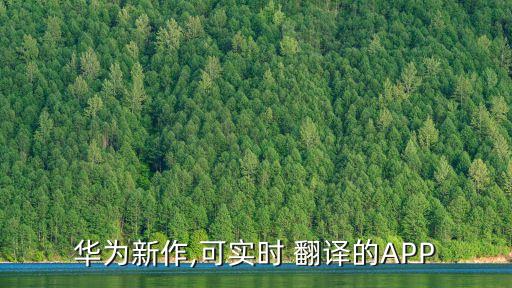 華為新作,可實時 翻譯的APP