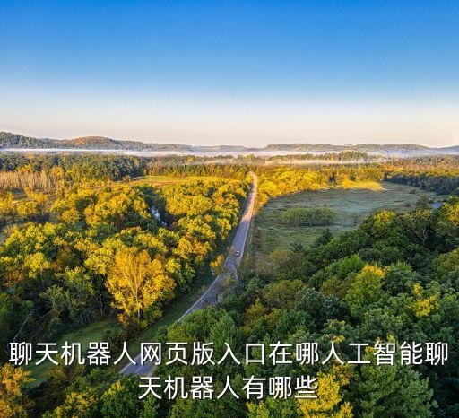 聊天機器人網(wǎng)頁版入口在哪人工智能聊天機器人有哪些