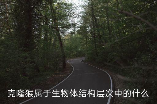 克隆猴屬于生物體結構層次中的什么