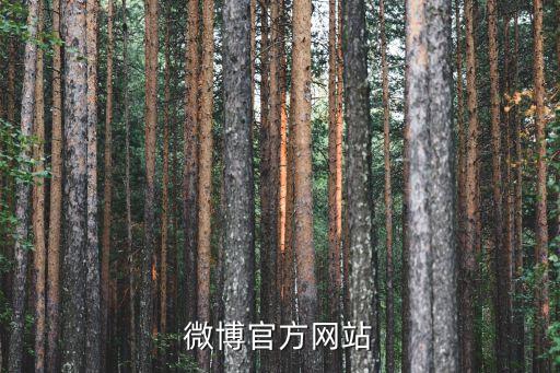 大微博，微博官方網(wǎng)站