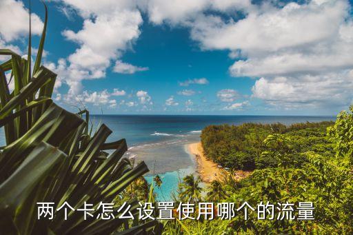兩個卡怎么設置使用哪個的流量