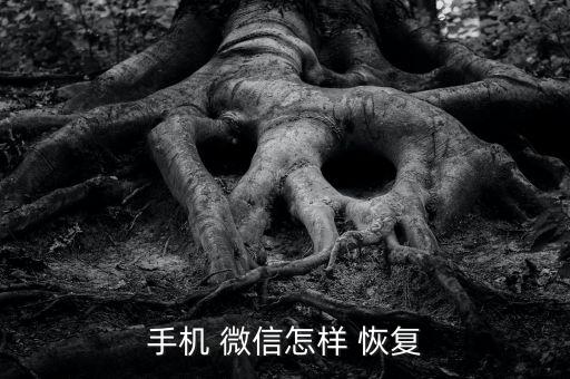 怎么刪除微信游戲數據恢復,微信里面的游戲怎么刪除