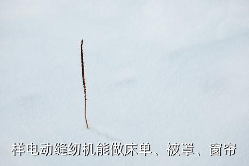 窗簾自動化加工機器專業(yè)設(shè)備,自動窗簾加工設(shè)備視頻