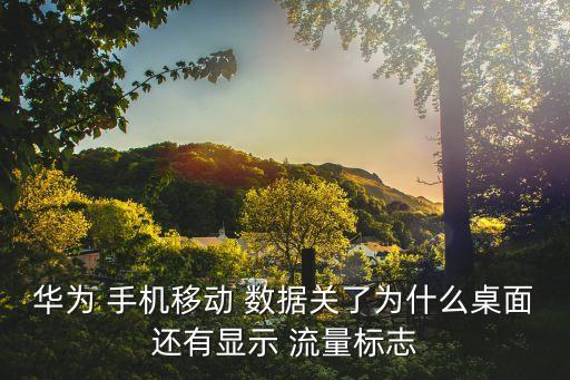 華為 手機(jī)移動(dòng) 數(shù)據(jù)關(guān)了為什么桌面還有顯示 流量標(biāo)志