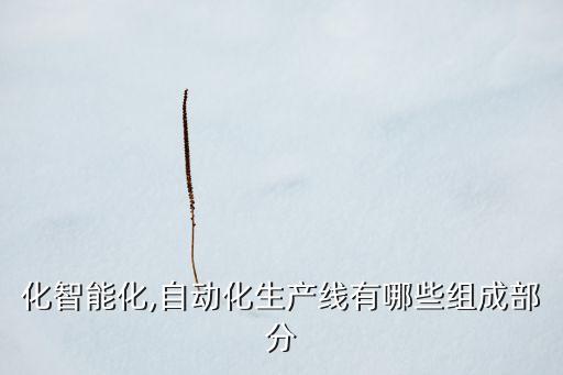 化智能化,自動化生產(chǎn)線有哪些組成部分