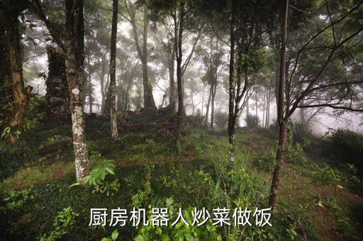 廚師機(jī)器人市場(chǎng),智能廚師機(jī)器人