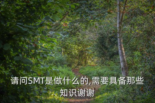 請問SMT是做什么的,需要具備那些知識謝謝