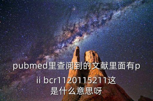 pii，計(jì)算機(jī)型號(hào)PII請(qǐng)問(wèn)PII指什么