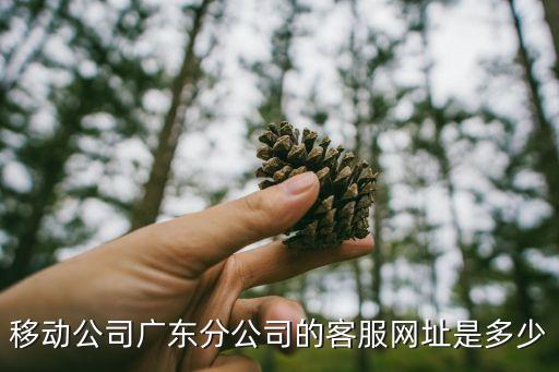 移動(dòng)公司廣東分公司的客服網(wǎng)址是多少