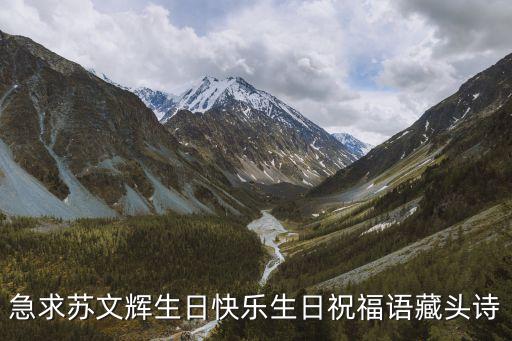 蘇文輝，急求蘇文輝生日快樂生日祝福語藏頭詩