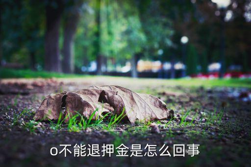 ofo未來大數(shù)據(jù),大數(shù)據(jù)預(yù)測未來