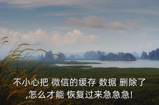 不小心把 微信的緩存 數(shù)據(jù) 刪除了,怎么才能 恢復(fù)過(guò)來(lái)急急急!