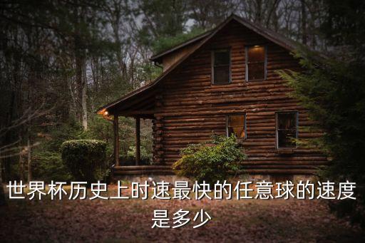 世界杯歷史上時(shí)速最快的任意球的速度是多少