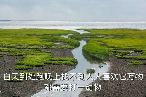 白天到處跑晚上找不到人人喜歡它萬物都需要打一動物
