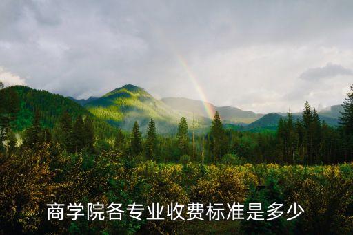 商學(xué)院各專業(yè)收費標(biāo)準(zhǔn)是多少