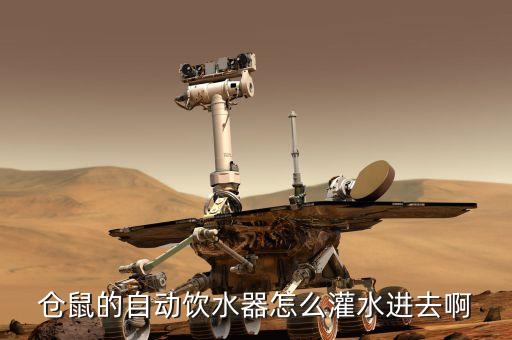 倉(cāng)鼠的自動(dòng)飲水器怎么灌水進(jìn)去啊