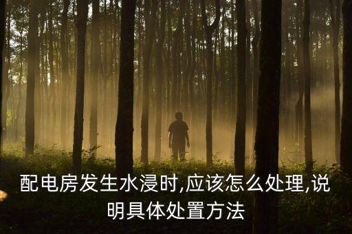配電房發(fā)生水浸時,應(yīng)該怎么處理,說明具體處置方法